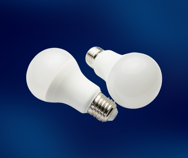 B101 BULB